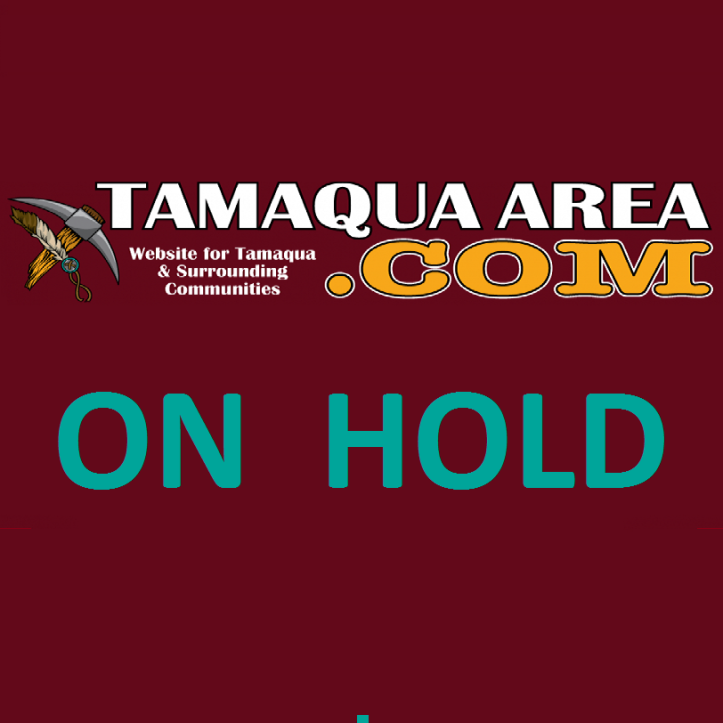 tamaquaarea-logo-blank-2-copy