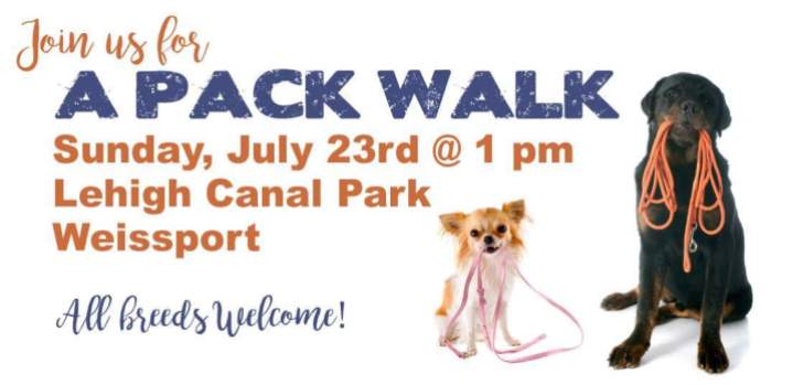 7-23-2017, A Pack Walk, Lehigh Canal Park, Weissport